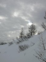 DSCN2811.jpg