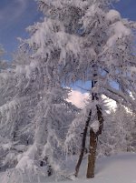 10012010128.jpg