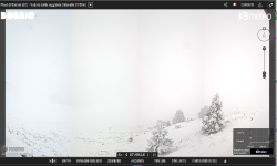 Valtorta neve.png