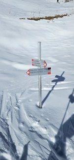 20251208_105339.jpg