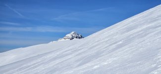 20251208_115320.jpg
