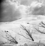 Quale? 597625018_847260644604611_2652899963044334198_n.jpg