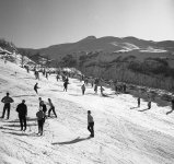 Quale2? 597625018_847260644604611_2652899963044334198_n.jpg