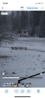 IMG_5192.png