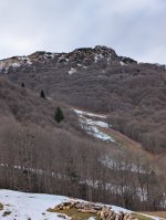 PXL_20260118_122702770.jpg