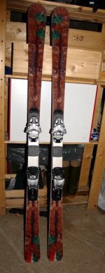 DSC03984.jpg
