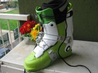 IMG_2173..jpg
