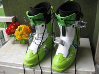 IMG_2175..jpg