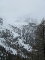 IMG_2369..jpg