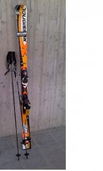 Rossignol..jpg
