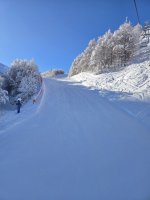 20260205_101828.jpg