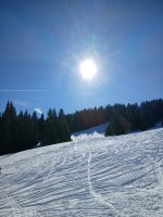 20260221_110834.jpg
