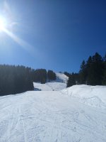 20260221_113254.jpg