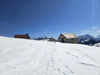 20260328_124433.jpg