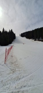 1000334820.jpg
