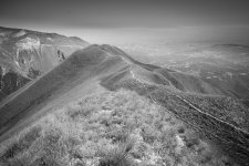 IMG_6784.jpg