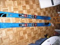 salomon..jpg