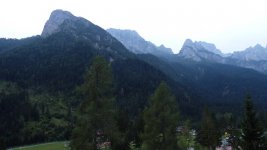P1010846..JPG