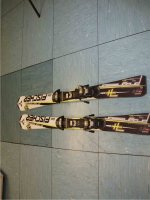 Progressor 7+ fro.JPG