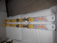 Skiapl hagan 001..jpg