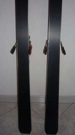 P1010584..JPG
