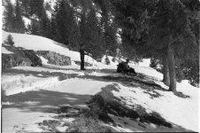 007-50.jpg