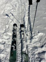 IMG_0083..jpg
