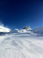 IMG_0194.jpg