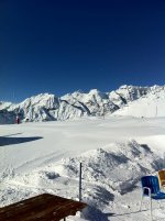 IMG_0201.jpg