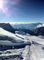 IMG_0203.jpg