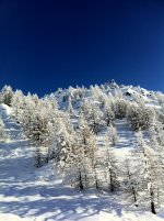 IMG_0208.jpg