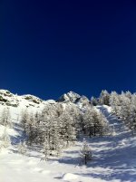 IMG_0207.jpg
