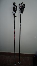 Leki Carbon 14S.jpg