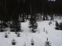 P08-01-11_15-53.jpg