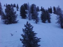 P08-01-11_15-58.jpg