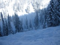IMG_1919.jpg