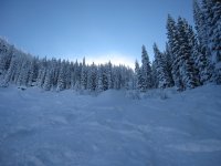 IMG_1921.jpg