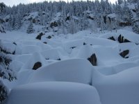 IMG_1923.jpg
