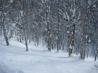IMG_1924.jpg