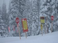 IMG_1894.jpg