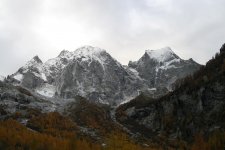 IMG_4513.jpg
