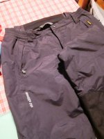 IMG_1006.jpg