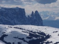 0011 Sciliar e  Seiseralm.jpg