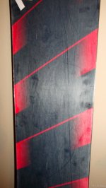 DSC08195.jpg