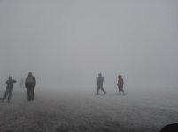 P13-02-11_09-05.jpg