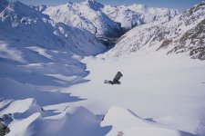 nz1_847.jpg