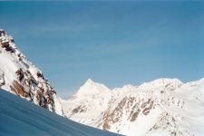 gran_zebr___ortles_1_569.jpg