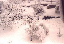 neve2_197.jpg