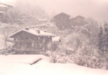 neve_100.jpg