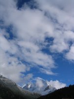 116_1643_r1_1_233.jpg